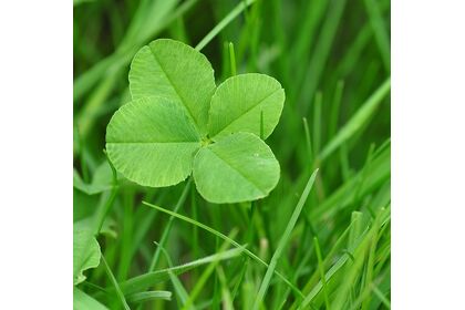 町田？ヨガ？空中？ハンモックフィットネスプラムライン？体幹？腰痛トレーニング？ハンモック？スイングヨガ？エアリアル町田プラムライン？4DPRO?バンジーフィットネス？プラムライン？