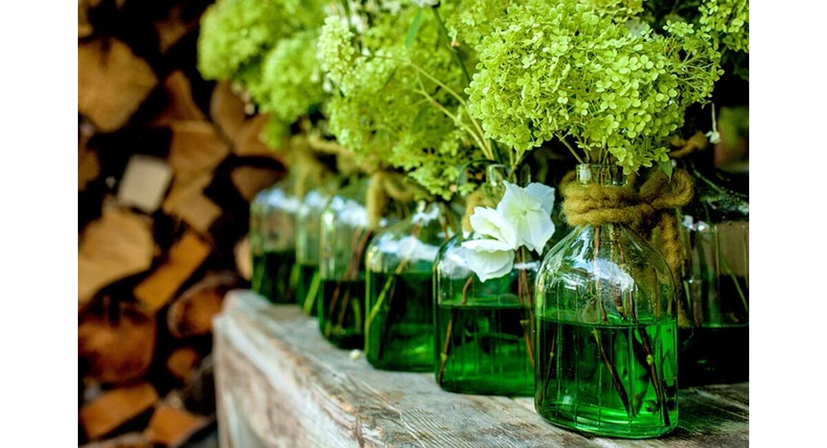 町田でヨガ　プラムライン　ハンモックフィットネスプラムライン　エアリアル町田プラムライン